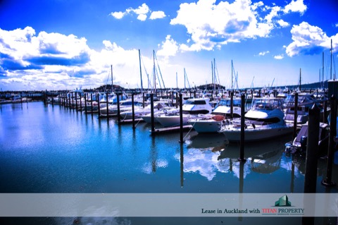 Boats docked in Auckland habour - Titan Property