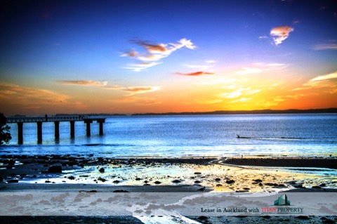 Murrays Bay wharf sun rise - Titan Property